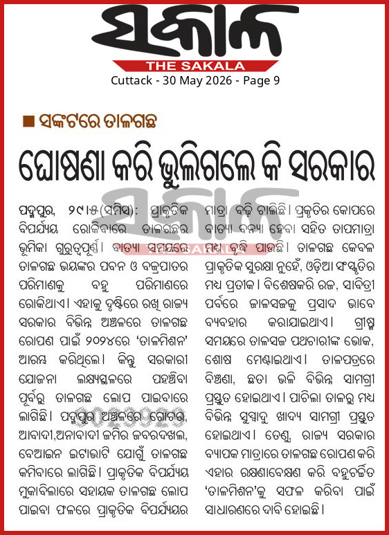 6a19eedd3d8ef